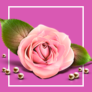 «Florist: доставка цветов,подарков,магазин цветы на Старте »: модуль для 1С-Битрикс