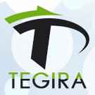 «TEGIRA: стильный настраиваемый лендинг с каталогом товаров и корзиной»: модуль для 1С-Битрикс